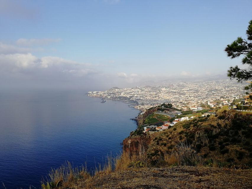 Madeira: Private Garajau Tour by Tukxi - Key points to know before booking