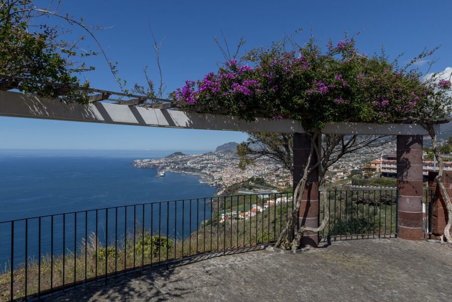 Madeira: Private Garajau Tour by Tukxi - Who will enjoy this two-hour Madeira tour?