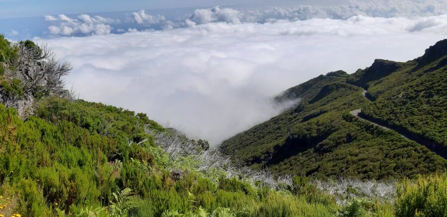 Madeira: Private Guided Achadas Teixeira - Pico Ruivo PR1.1 - What the walk asks of you