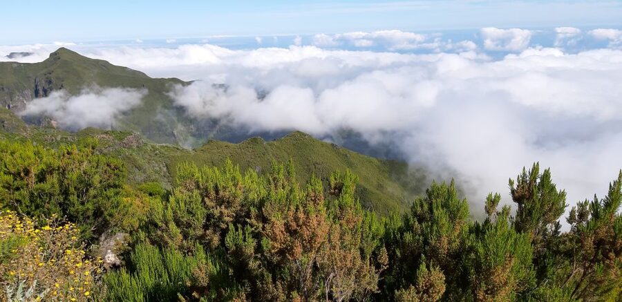 Madeira: Private Guided Achadas Teixeira - Pico Ruivo PR1.1 - Views, photos, and the return route