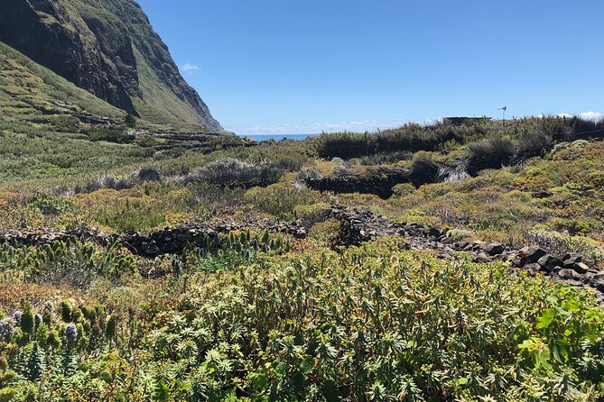 Madeira: Private Guided Half-Day Tour of Northwest Madeira - Who should book this four-hour outing