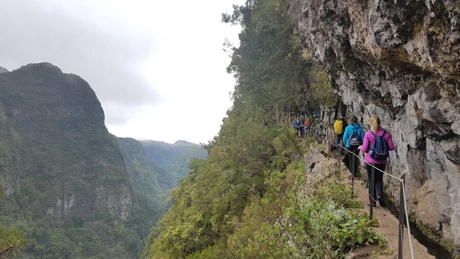 Madeira: Private Guided Levada Caldeirão Verde Walk PR9 - Following the levada through Madeira’s Laurissilva