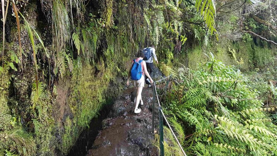Madeira: Private Guided Levada Caldeirão Verde Walk PR9 - Tunnels, wet rock, and the practical side of the walk
