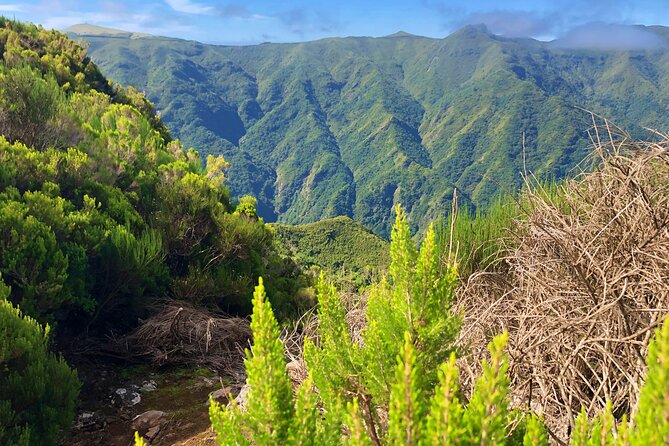 Madeira: Private Guided Walk Vereda Fanal PR13 - Weather, comfort, and what to bring