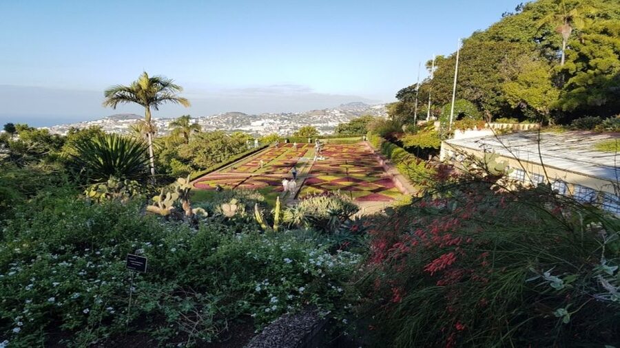 Madeira: Private Half-Day Guided Gardens Tour - Key points to know before booking