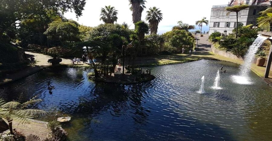 Madeira: Private Half-Day Guided Gardens Tour - Why Madeira’s gardens deserve half a day