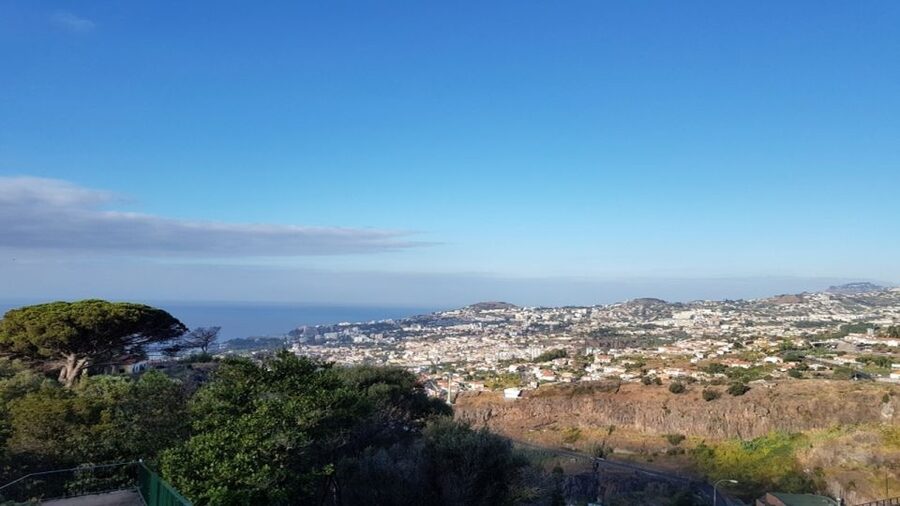 Madeira: Private Half-Day Guided Gardens Tour - Is $129 per person a fair price?