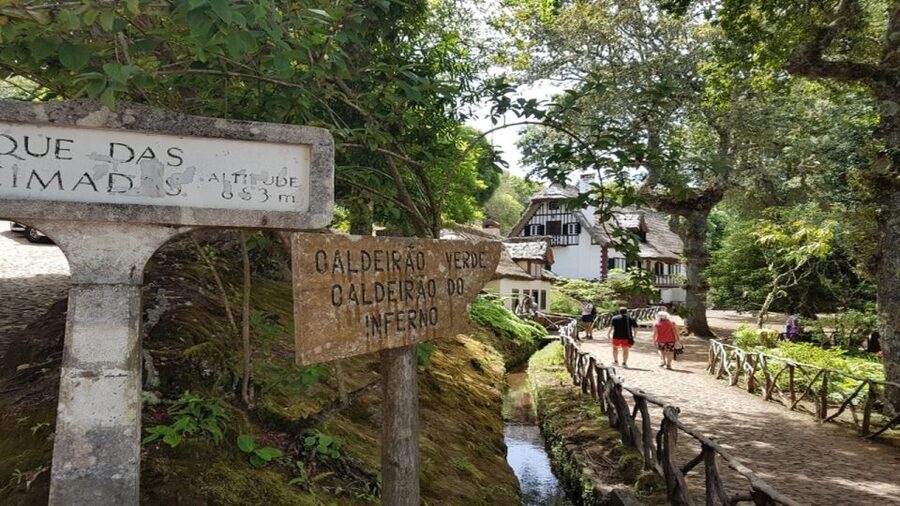 Madeira: Private Half-Day North East Island Tour - Santana and Madeira’s famous thatched houses