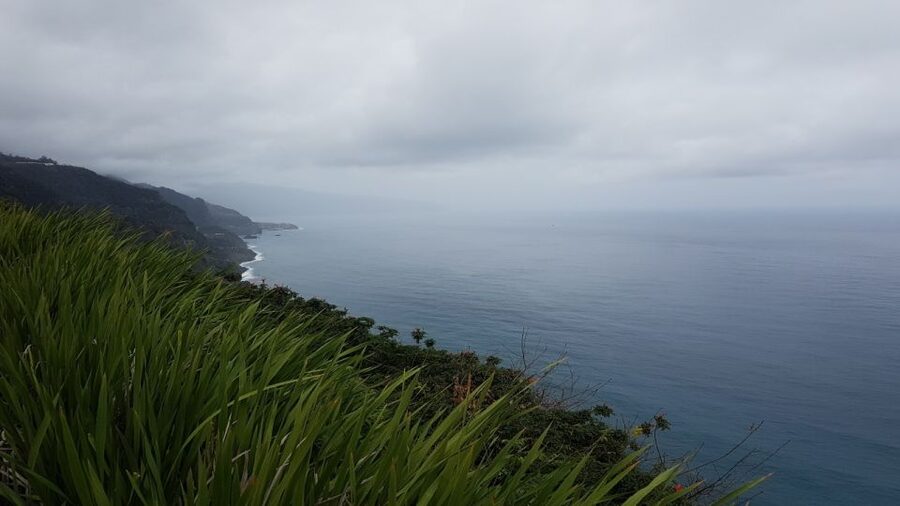 Madeira: Private Half-Day North East Island Tour - What the guides add to the day