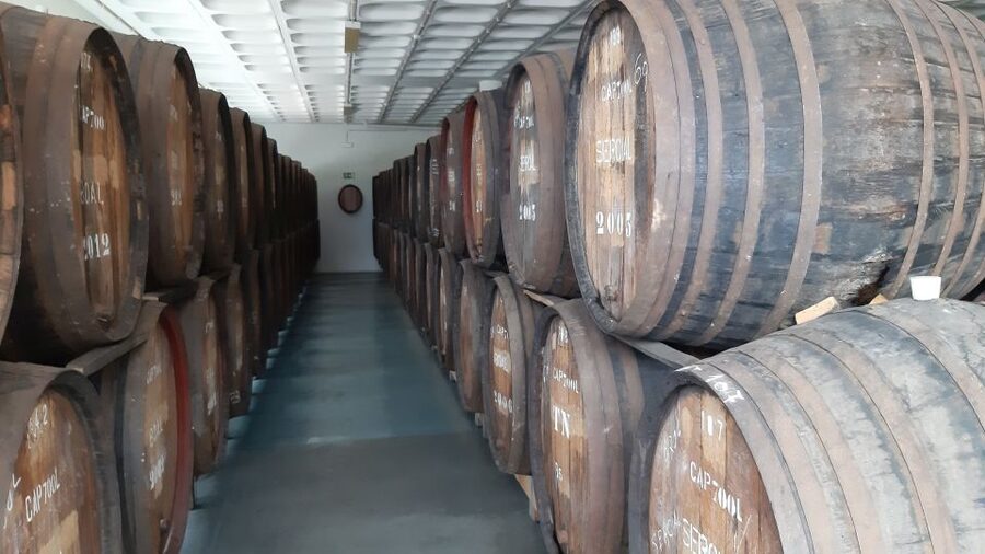 Madeira: Private Half-Day Wine Tasting Tour - A compact introduction to Madeira wine