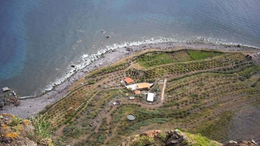 Madeira: Private Half-Day Wine Tasting Tour - Rancho viewpoint and Cabo Girão scenery