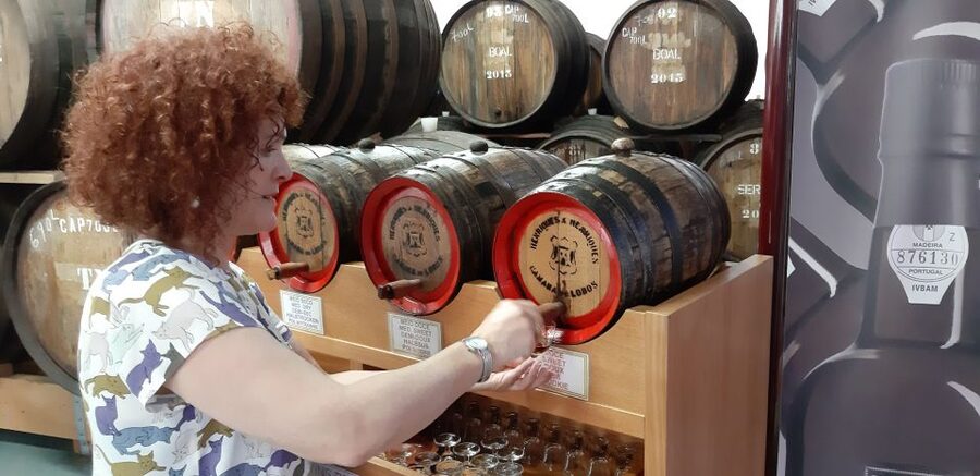 Madeira: Private Half-Day Wine Tasting Tour - Practical details before you reserve