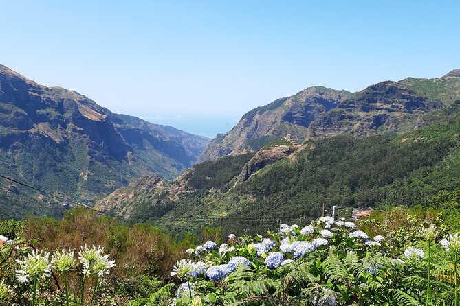 Madeira: Private Laurisilva Tour - What the private format is worth at $139.63