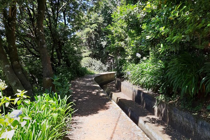 Madeira: Private Laurisilva Tour - Who will enjoy this four-hour outing