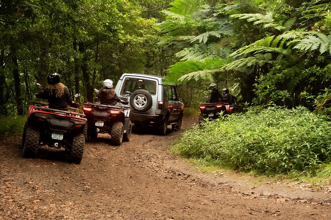 Madeira Private Off-road Quad Bike Experience - Is $167.37 good value for two people?