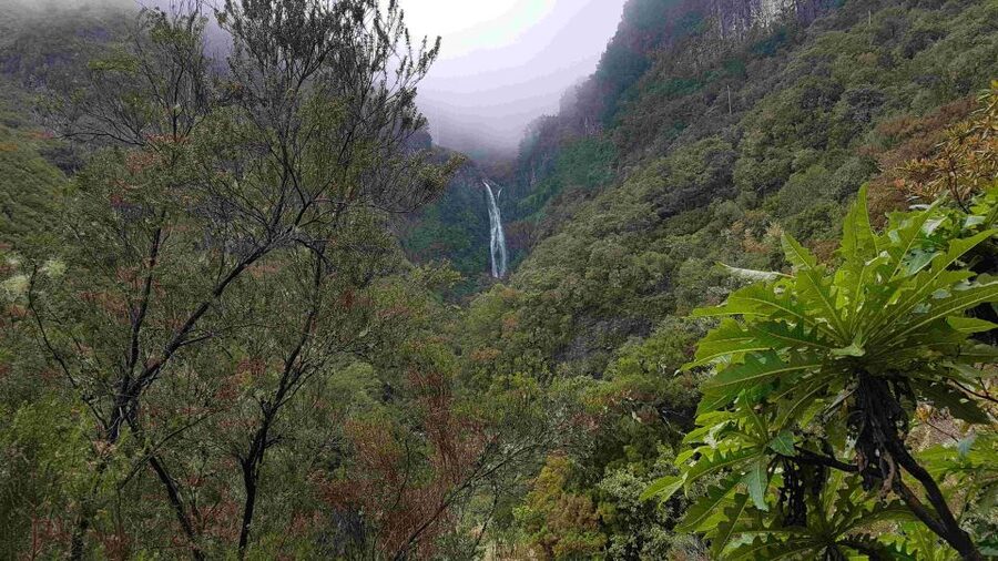 Madeira: Private Walking Tour of Levada das 25 Fontes PR6 - Key points at a glance