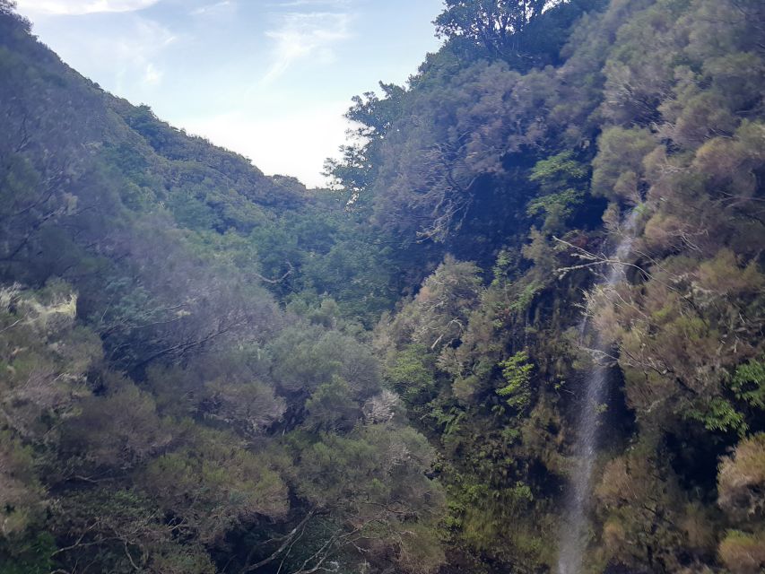 Madeira: Private Walking Tour of Levada das 25 Fontes PR6 - The tunnel and the wet mountain route