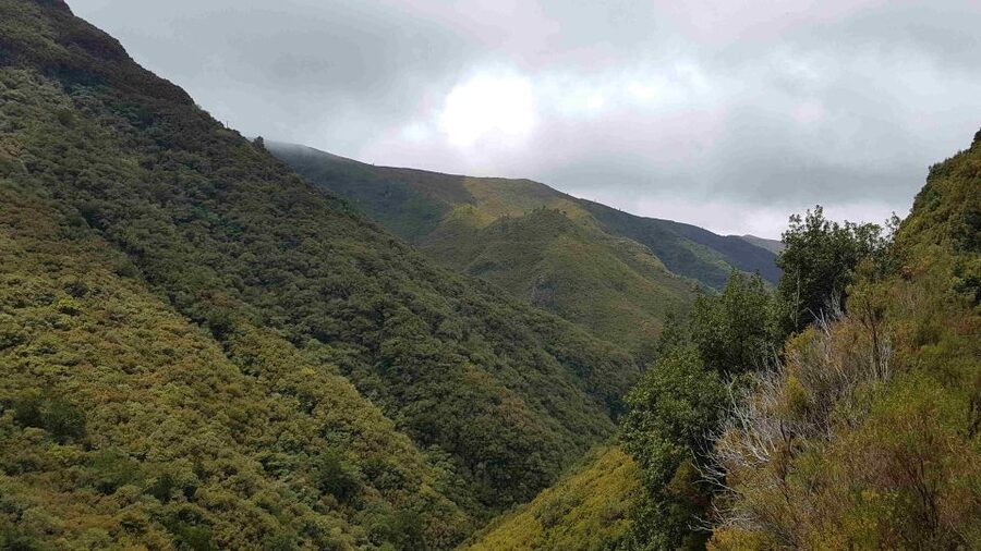 Madeira: Private Walking Tour of Levada das 25 Fontes PR6 - Who should book this walk?