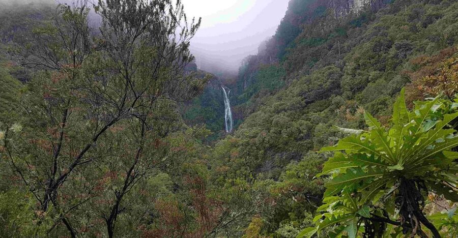 Madeira: Private Walking Tour of Levada das 25 Fontes PR6 - What to bring for PR6