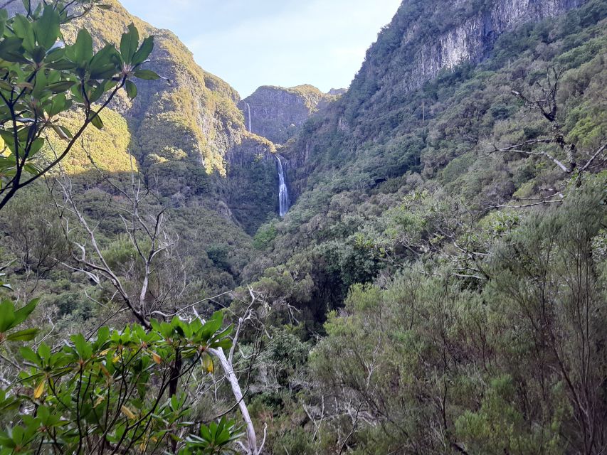 Madeira: Private Walking Tour of Levada das 25 Fontes PR6 - Walking beside the levadas
