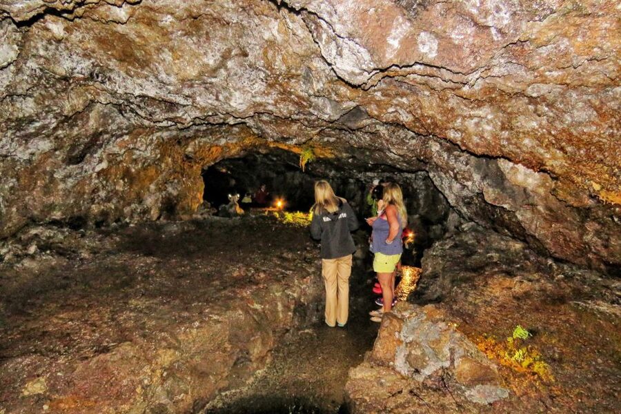 Madeira : Private wine experience by 4WD - Chão da Ribeira and the old farming valleys