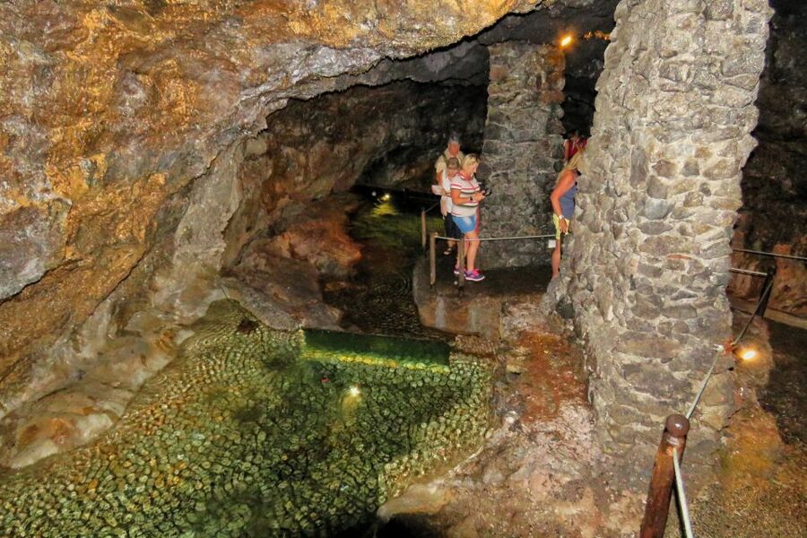 Madeira : Private wine experience by 4WD - Who should book this 4WD wine tour?