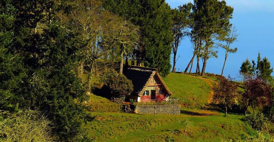 Madeira: Queimadas, Caldeirão Verde and Levada Walk - Key points to know before you book