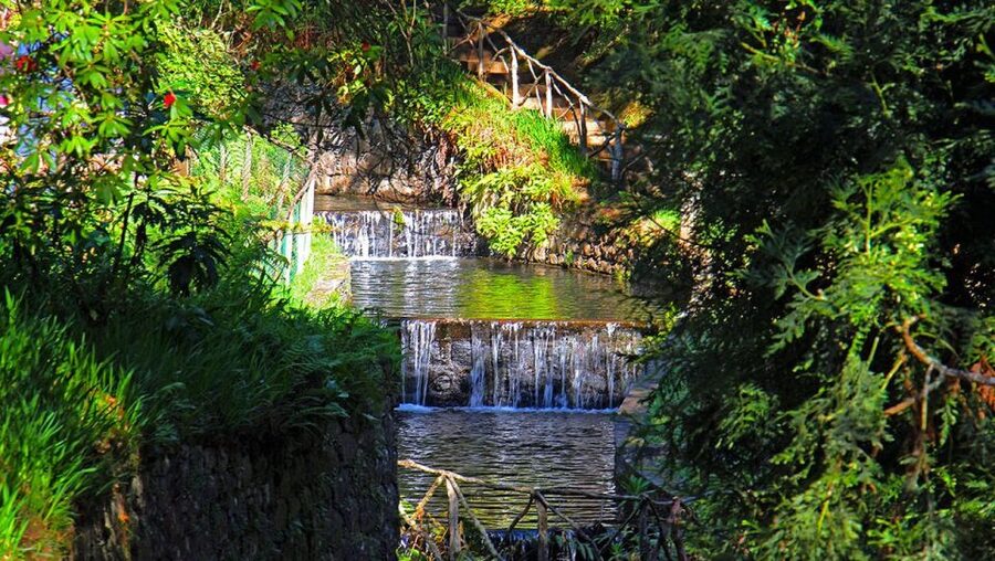 Madeira: Queimadas, Caldeirão Verde and Levada Walk - FAQ