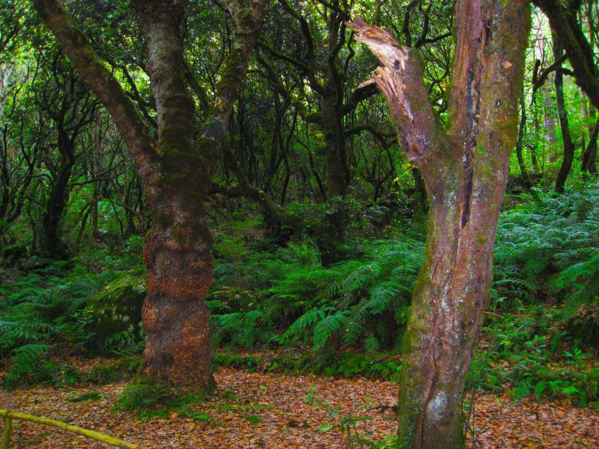 Madeira: Queimadas, Caldeirão Verde and Levada Walk - Reaching the Caldeirão Verde waterfall