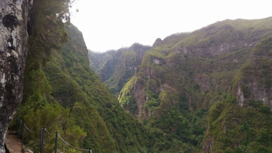 Madeira: Queimadas, Caldeirão Verde and Levada Walk - What the $50 price really covers