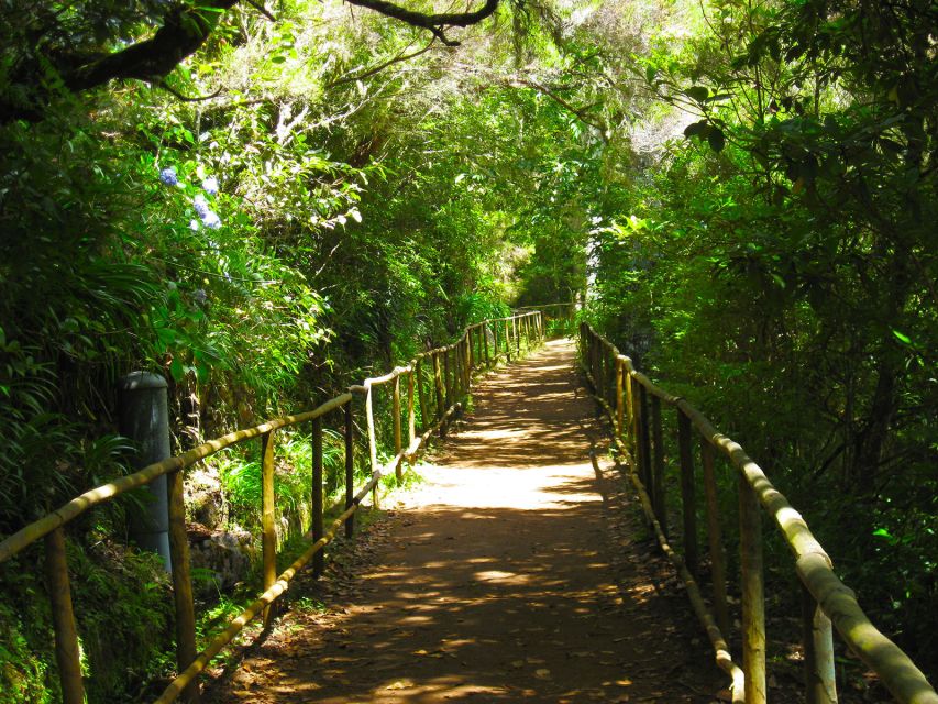 Madeira: Queimadas, Caldeirão Verde and Levada Walk - Should you book the Caldeirão Verde walk?