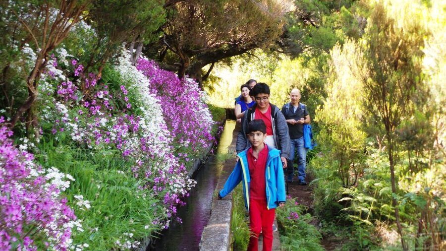 Madeira: Rabaçal 25 Fountains Levada Walk & Cabo Girão - Key points to know before booking