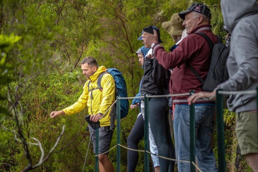 Madeira: Rabaçal 25 Fountains Levada Walk & Cabo Girão - Who should book this Madeira tour?