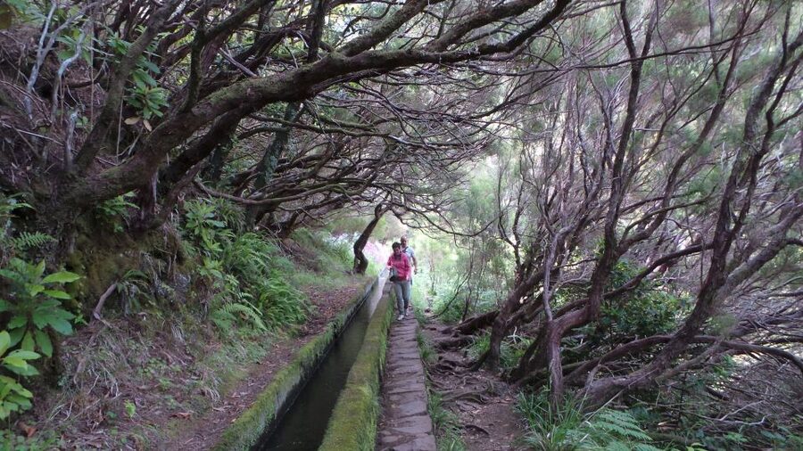 Madeira: Rabaçal 25 Fountains Levada Walk & Cabo Girão - Guides, group size, and the feel of the day