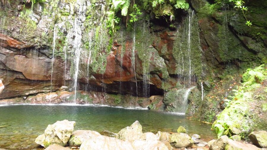 Madeira: Rabaçal, Risco and 25 Fontes Guided Hiking Tour - Key details before you book