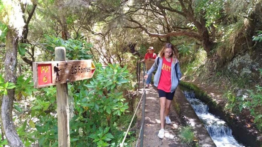 Madeira: Rabaçal, Risco and 25 Fontes Guided Hiking Tour - The four-hour walk through Risco and Rabaçal