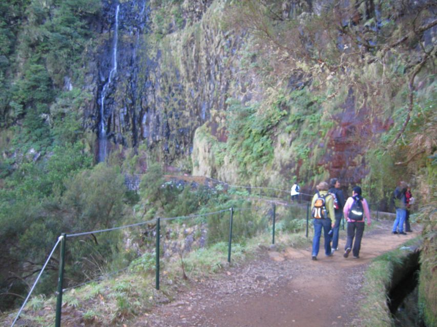 Madeira: Rabaçal, Risco and 25 Fontes Guided Hiking Tour - What $47 includes, and what it does not