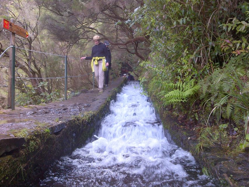 Madeira: Rabaçal Valleys 3-Hour Guided Walk - Following Madeira’s levadas into Rabaçal