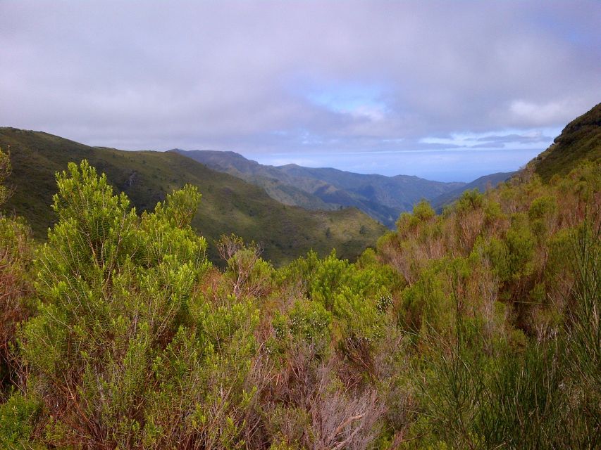 Madeira: Rabaçal Valleys 3-Hour Guided Walk - Waterfalls, springs, and wide valley views