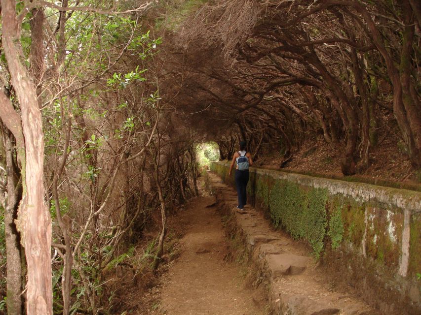 Madeira: Rabaçal Valleys 3-Hour Guided Walk - What the guide adds to the walk