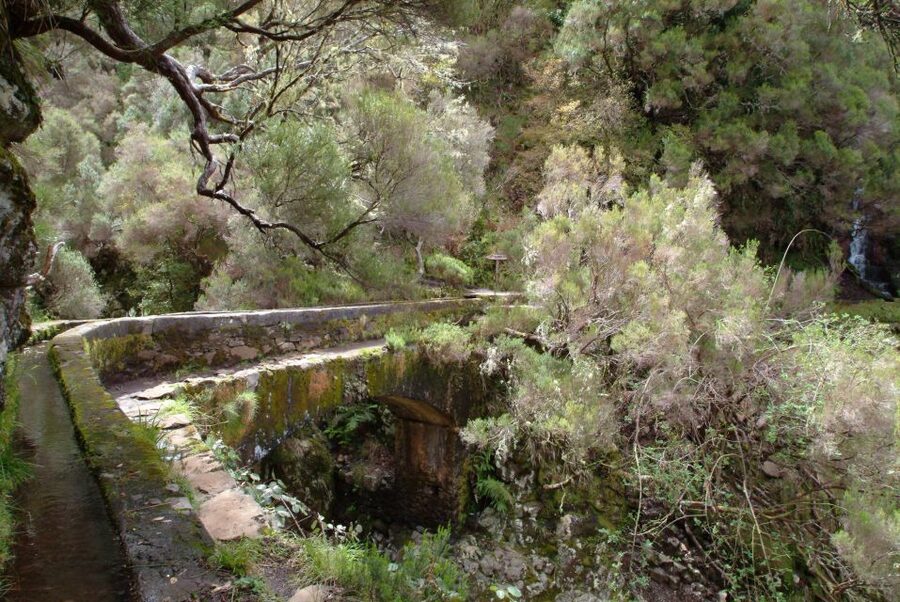Madeira: Rabaçal Valleys 3-Hour Guided Walk - Pickup from Funchal, Caniço, or Calheta