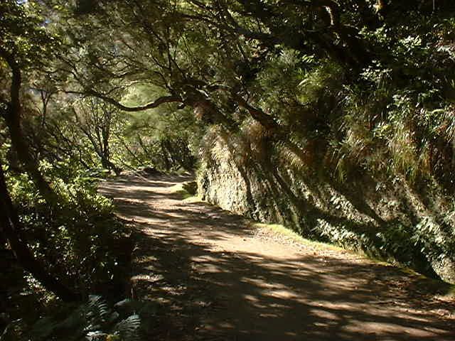 Madeira: Rabaçal Valleys 3-Hour Guided Walk - Is 10 kilometers and moderate difficulty right for you?