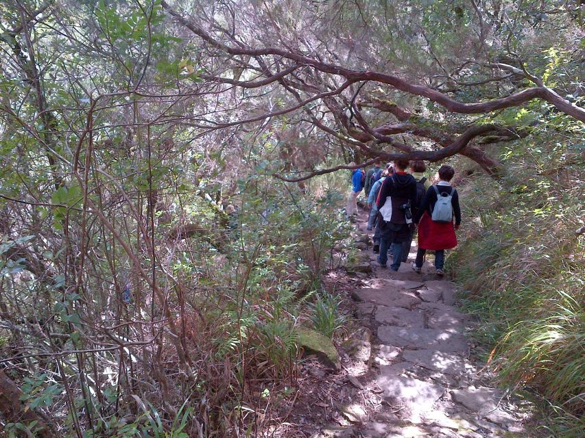 Madeira: Rabaçal Valleys 3-Hour Guided Walk - What the $48 price includes