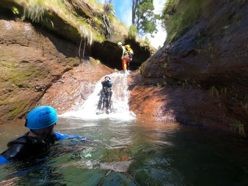 Madeira : Ribeira das Cales Canyoning (Level 1) - Key points to know before booking