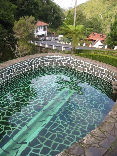 Madeira: Ribeiro Frio to Portela 4-Hour Guided Walk - Starting at Ribeiro Frio and the trout farm