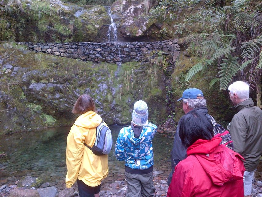 Madeira: Ribeiro Frio to Portela 4-Hour Guided Walk - Walking through Madeira’s laurisilva forest