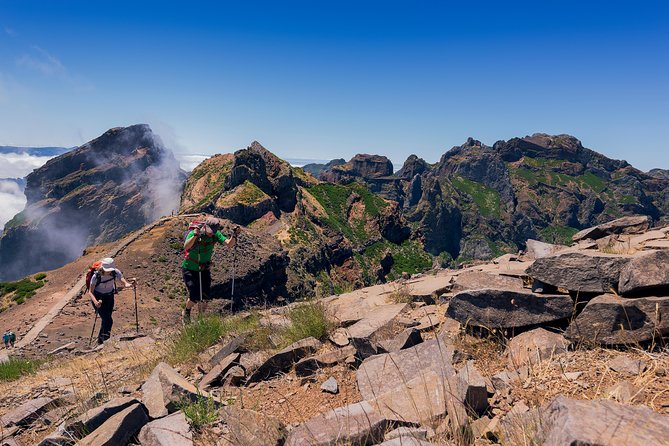 Madeira s highest Peaks - Views across Fajã da Nogueira and native birdlife