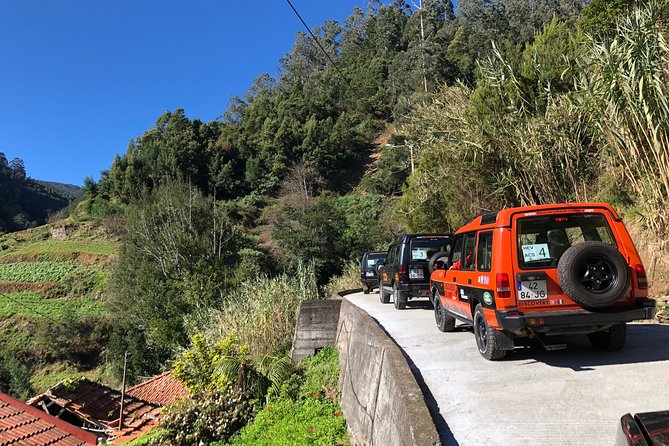 Madeira Safari - East of the island - Ribeiro Frio: a change from exposed peaks to green valleys