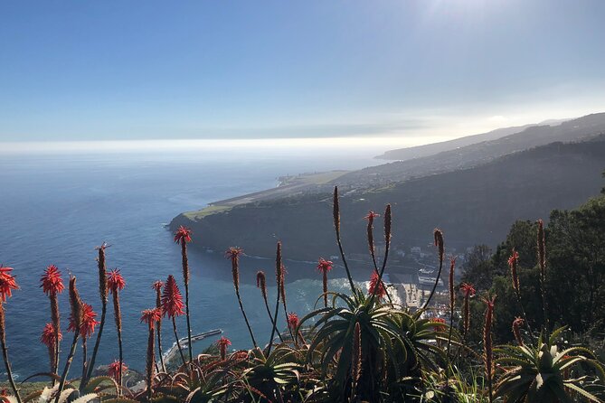 Madeira Safari - East of the island - Santana: traditional houses, local culture, and time to look around