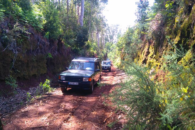 Madeira Safari - East of the island - Poiso and Pico do Arieiro: Madeira from the high road